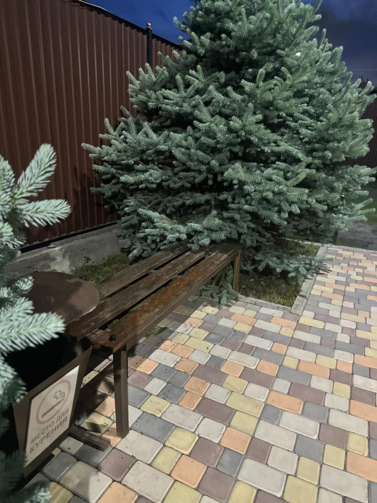 "Гостевой Дом Анны" По Улице Абая, 165 Taldykorgan Exterior foto